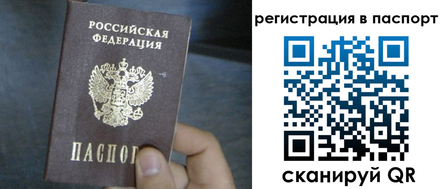 прописка 2025 в Плавске